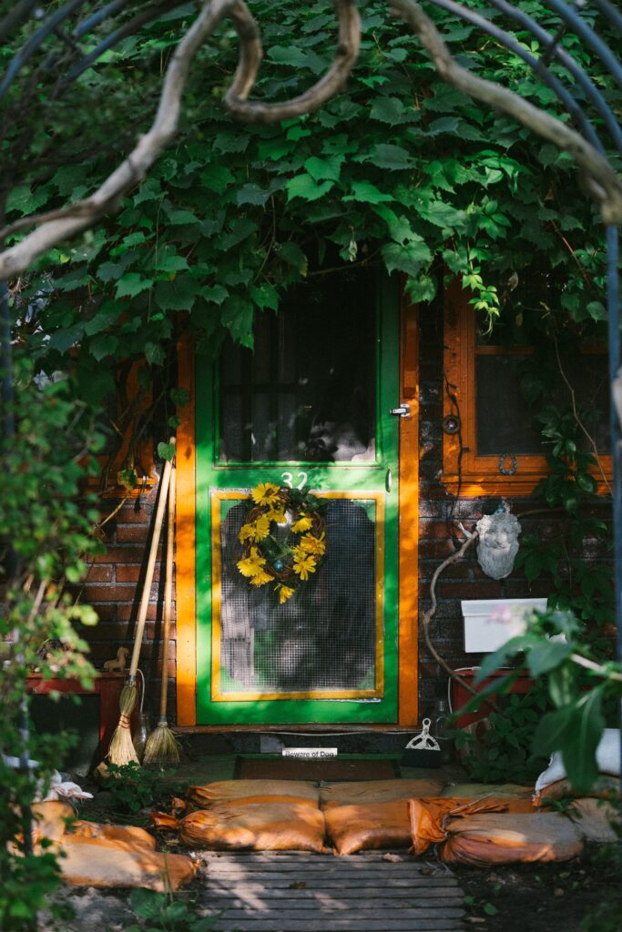 Rustic green storm door with greenery in the foreground